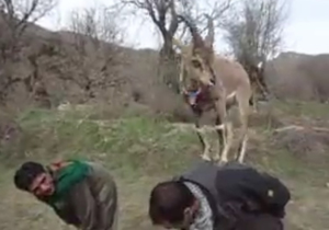 بسته