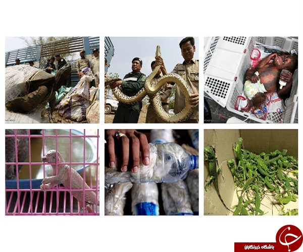 فضای مجازی از نگاه دیگر؛