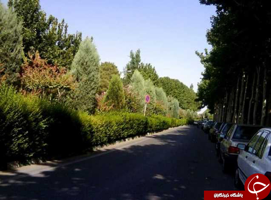 روز طبیعت در تهران کجا برویم؟+تصاویر