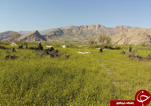 سیزدهم فروردین روز طبیعت مبارک + تصاویر
