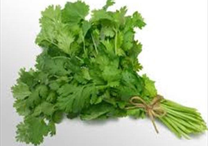 با خوردن این سبزی کلیه ها را تصفیه کنید