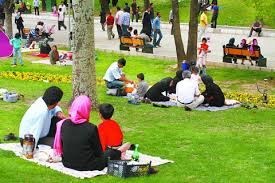 42محیط بان، همراه مسافران طبیعت