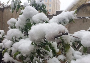 سیزده بدر سرد و برفی + تصاویر