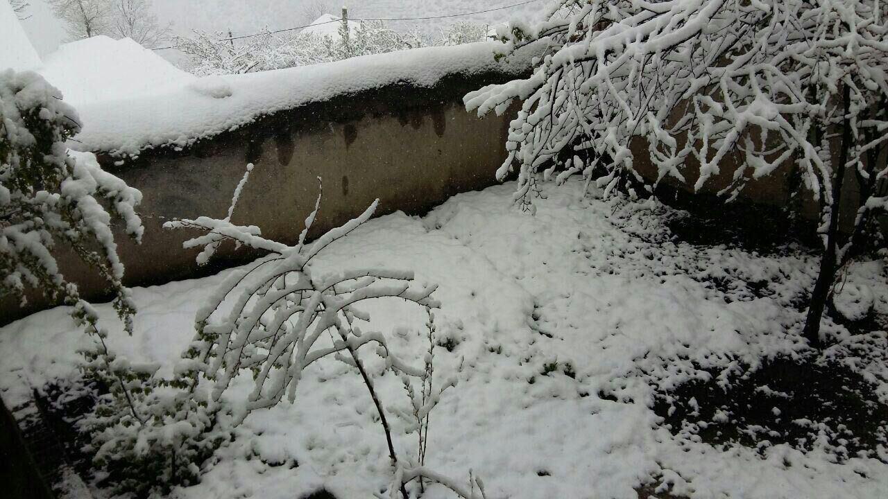 روسفیدی سیزده بدر در مازندران+ تصاویر
