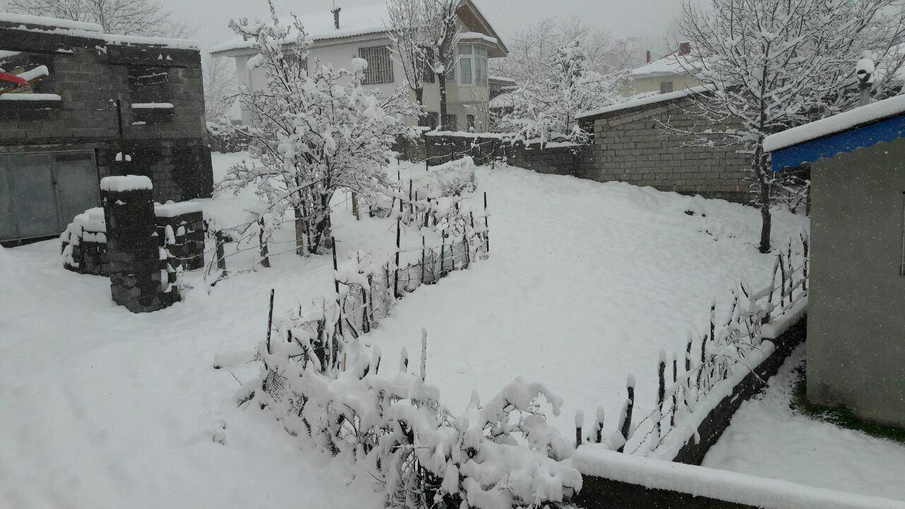 روسفیدی سیزده بدر در مازندران+ تصاویر