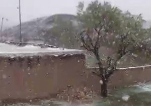 آغاز بارش برف در روستای طبس + فیلم