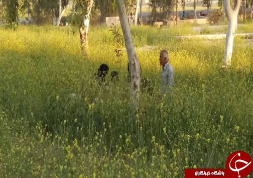 طبیعت تابلویی زیبا از خلقت پروردگار + تصاویر