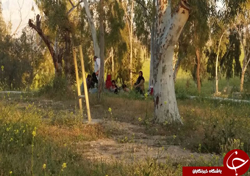 طبیعت تابلویی زیبا از خلقت پروردگار + تصاویر