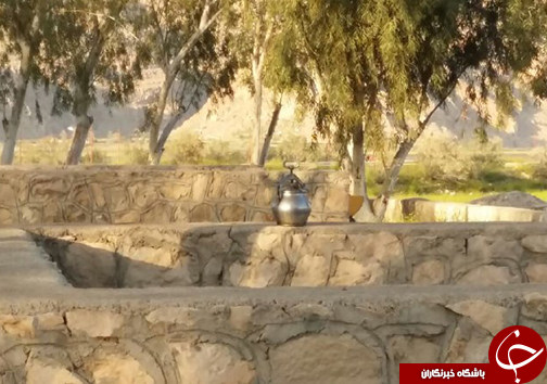 طبیعت تابلویی زیبا از خلقت پروردگار + تصاویر