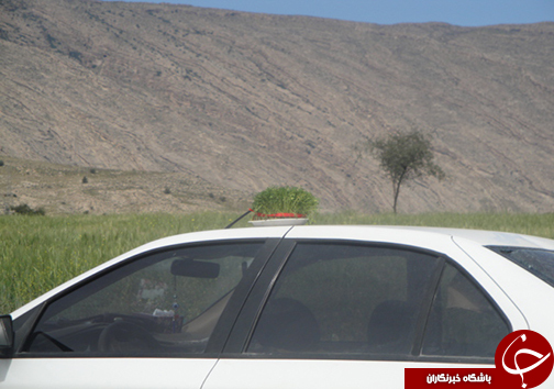طبیعت تابلویی زیبا از خلقت پروردگار + تصاویر