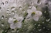 کرمان دومین شهر پرباران استان