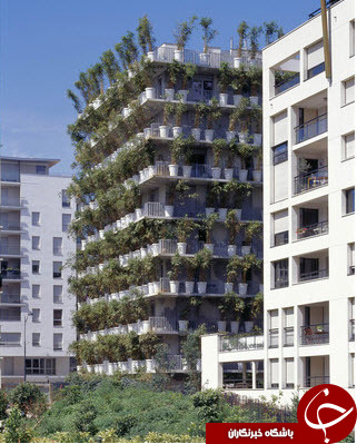 برج زیبای گلدان در قلب پاریس + تصاویر
