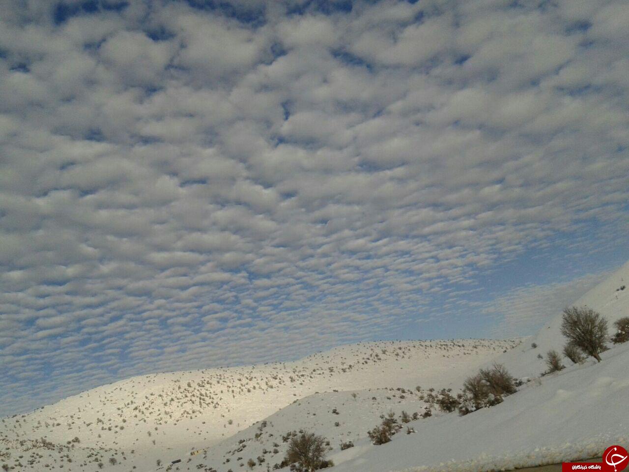 بازی ابر و زیبایی + تصاویر