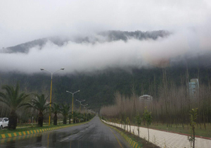 بسته