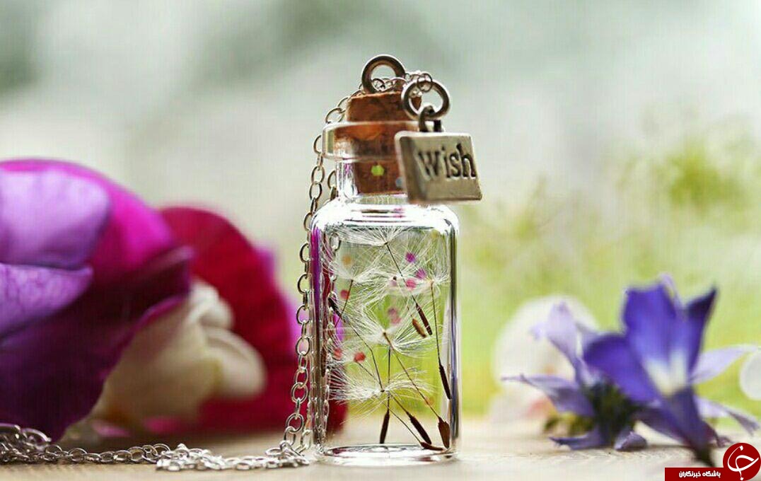 طبیعت را درجواهرات خود نگهداری کنید+تصاویر