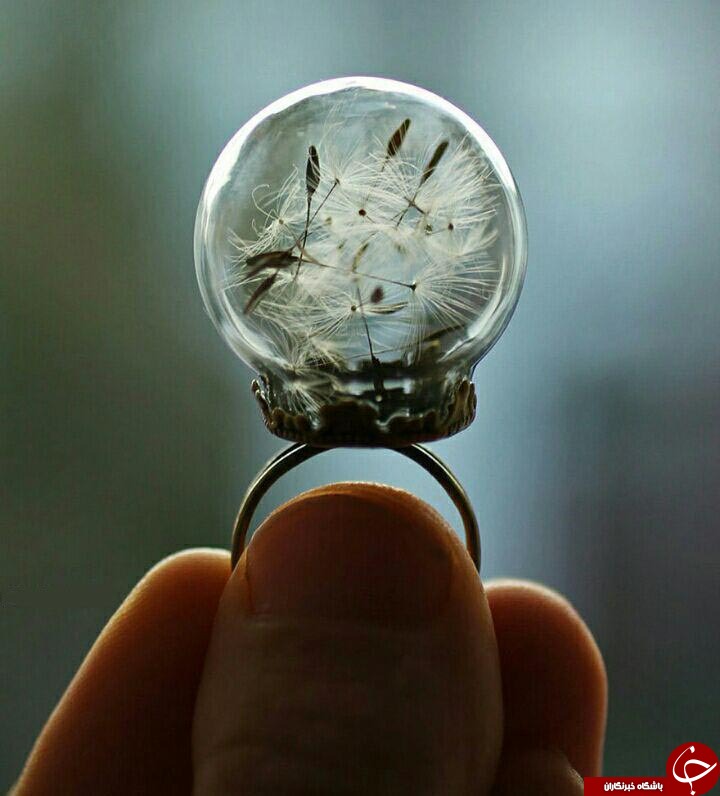 طبیعت را درجواهرات خود نگهداری کنید+تصاویر