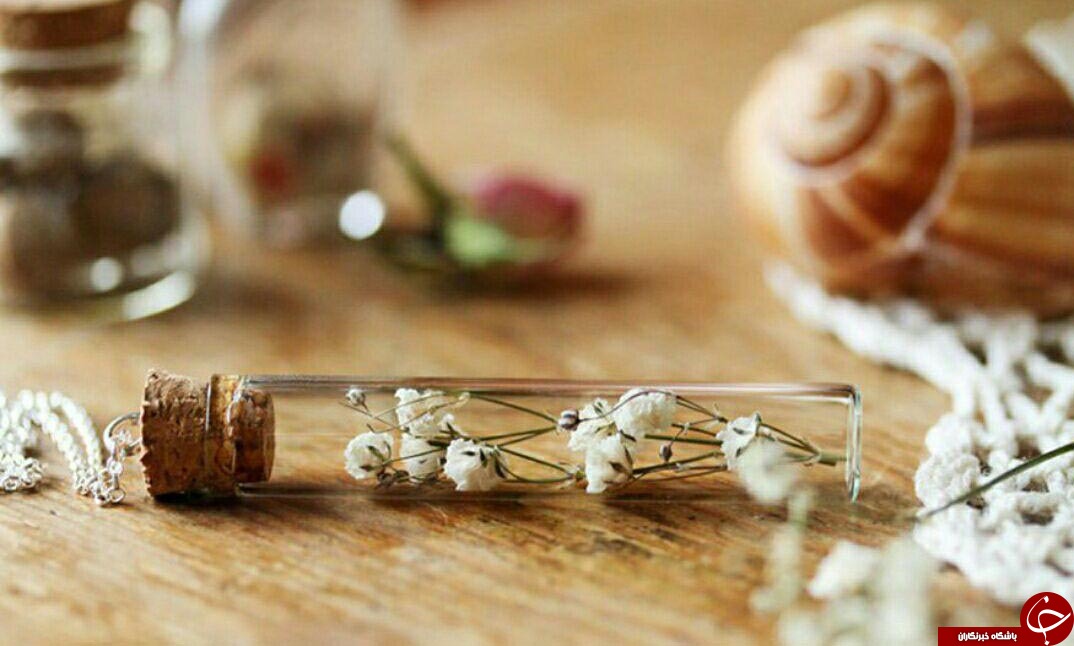 طبیعت را درجواهرات خود نگهداری کنید+تصاویر