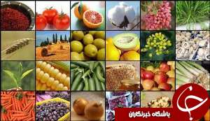 انديمشك ركورددار تنوع محصولات زراعي و باغي در خوزستان