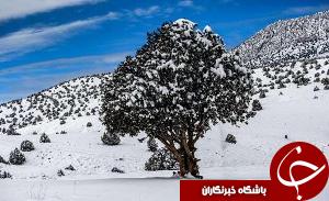 برف بهاری کوه تاراز را سفیدپوش کرد