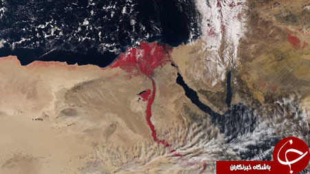نیل به رنگ خون+ عکس