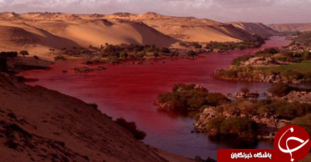 نیل به رنگ خون+ عکس