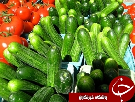 تولید بیش از 20 هزار تن محصول گوجه و خیار در اندیمشک