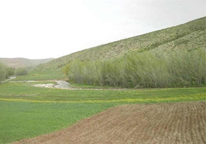 پایان اردیبهشت آغاز آزادسازی مراتع ییلاقی برای دامداران گلپایگانی