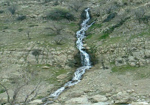 موسیقی روح‌نواز طبیعت + فیلم