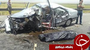یک قلاده سگ سه جوان دزفولی را ناکام کرد
