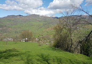 طبیعت روح&zwnj;نواز و بهاری خورگام + تصاویر