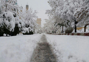 سفیدی و سیاهی‌های برف + تصاویر