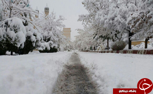 سفیدی و سیاهی&zwnj;های برف + تصاویر