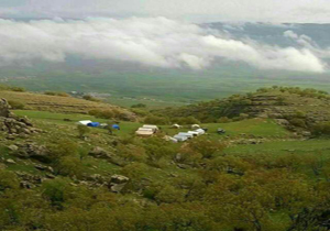 اینجا کسی پیر نمی ‌شود! + تصاویر