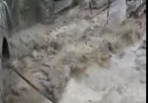 فاجعه جان باختن دهها تَن بر اثر باران سیل آسا + فیلم