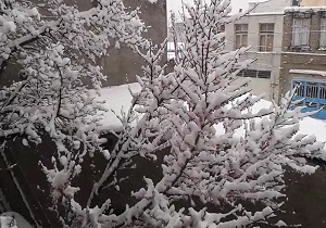 چادر سپید زمستان بر فراز آسمان بهاری اردبیل + فیلم