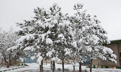 کاهش 10 درجه ای دمای هوا در استان اردبیل
