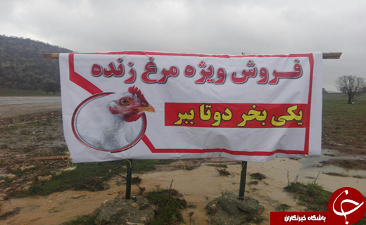 بسته خبری + فیلم و عکس
