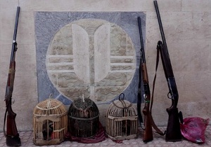شکارچیان در دام ماموران حفاظت محیط زیست