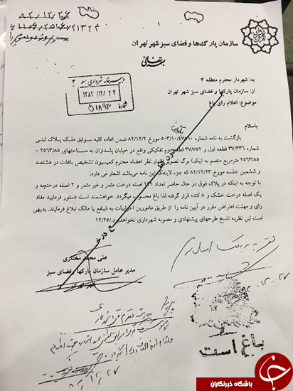 کشتار شبانه درختان باغ دروس پایتخت+سند