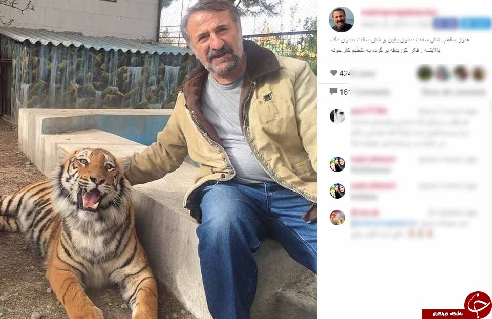 مهران رجبی و ببرش مهران رجبی و ببرش