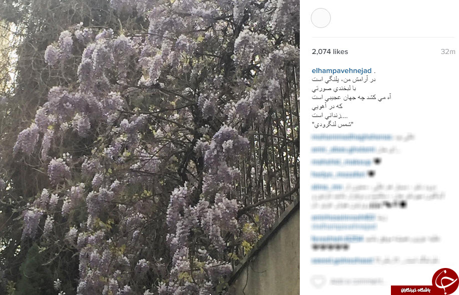 اینستاگردی