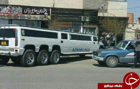 از پورشه نعش کش تا اعدام از نوع پنگوئنی
