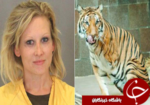 زنی که توسط ببر گاز گرفته شده بود، 250 دلار جریمه شد+عکس