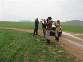 بازدید اکیپ دیگری از گروه پرنده نگری طرلان شهر تهران از پناهگاه دشت سوتاو حمامیان بوکان