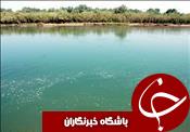 تکذیب انتقال آب رودخانه زهره به بوشهر