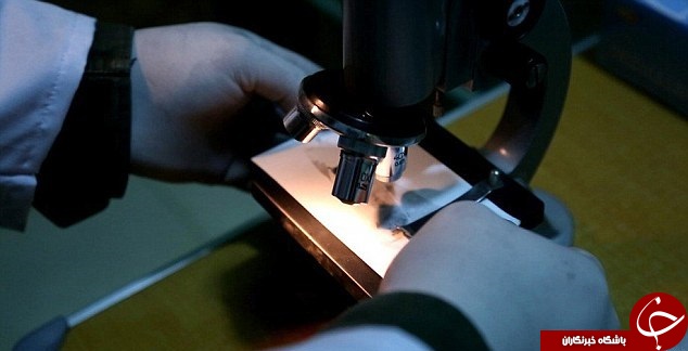 راه اندازی بخش هولناک جرم شناسی داعش مجهز به انگشت نگاری+ تصاویر