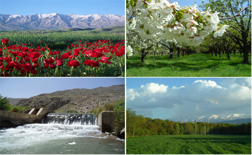 آلبومی از منظره زیبای روستای تکه