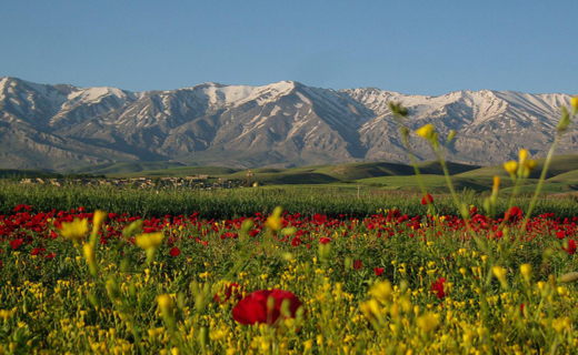 آلبومی از منظره زیبای روستای تکه