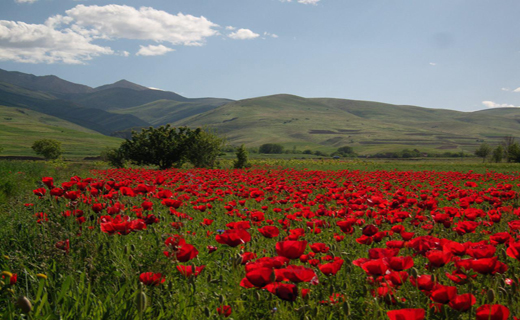 آلبومی از منظره زیبای روستای تکه