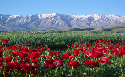 آلبومی از منظره زیبای روستای تکه